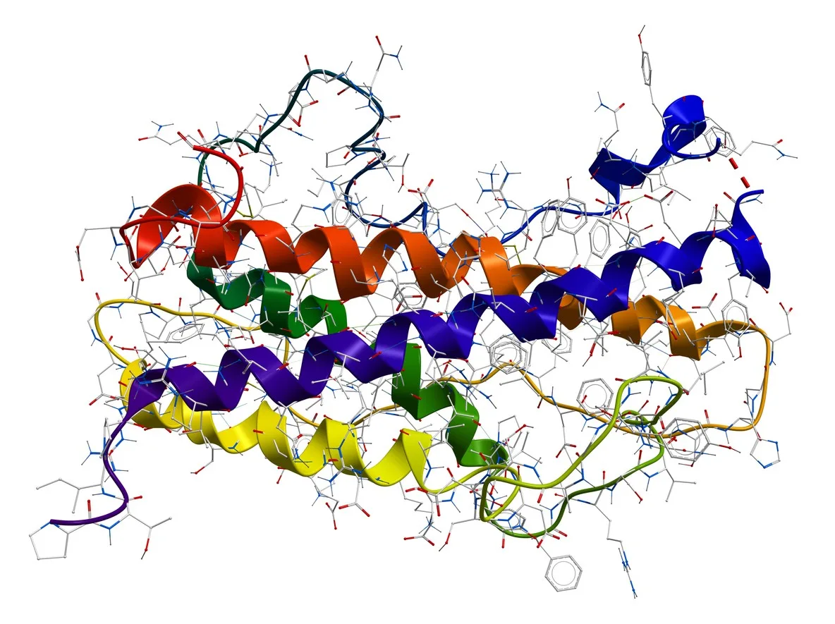 Tesamorelin & Ipamorelin Blend Studying their Potential in Growth Hormone Production Tesamorelin & Ipamorelin Blend Studying their Potential in Growth Hormone Production